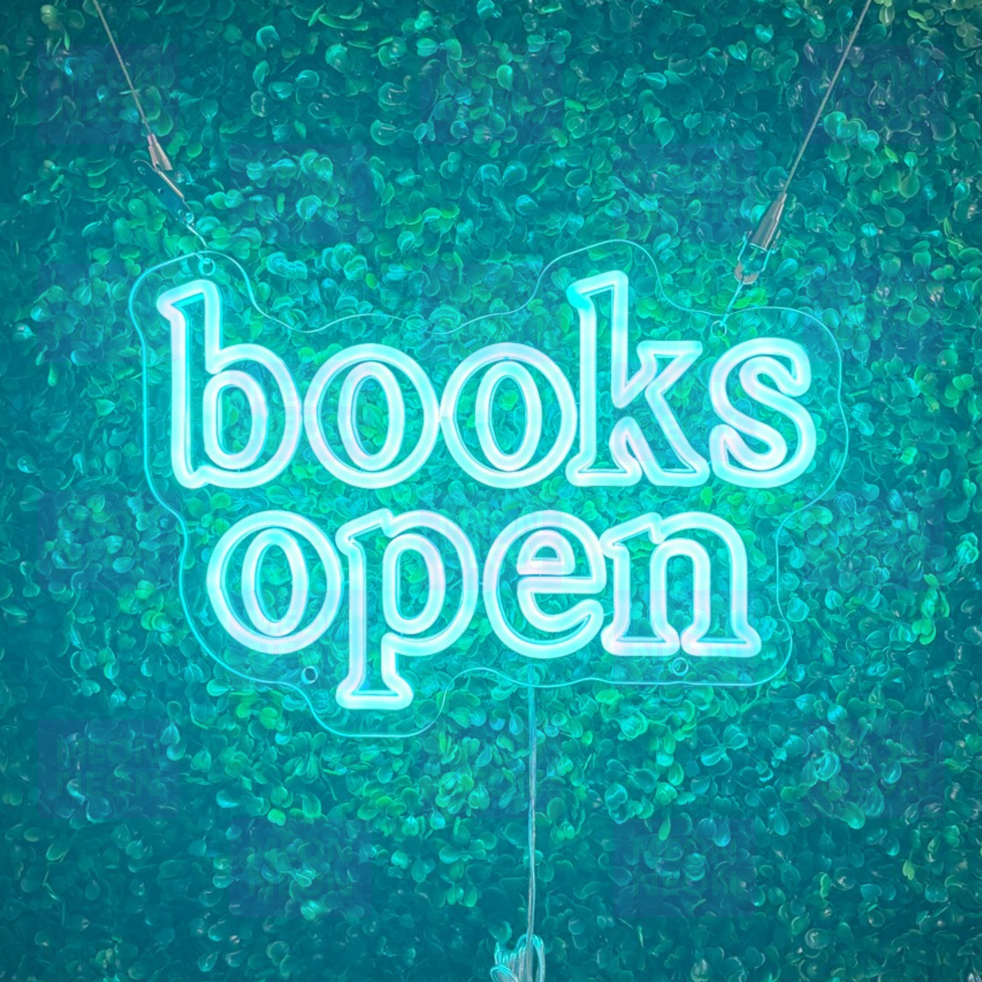 Books Open LED Neon Sign - Tattoo Appointment Style - Aqua Blue Lettering - Clean Modern Design
