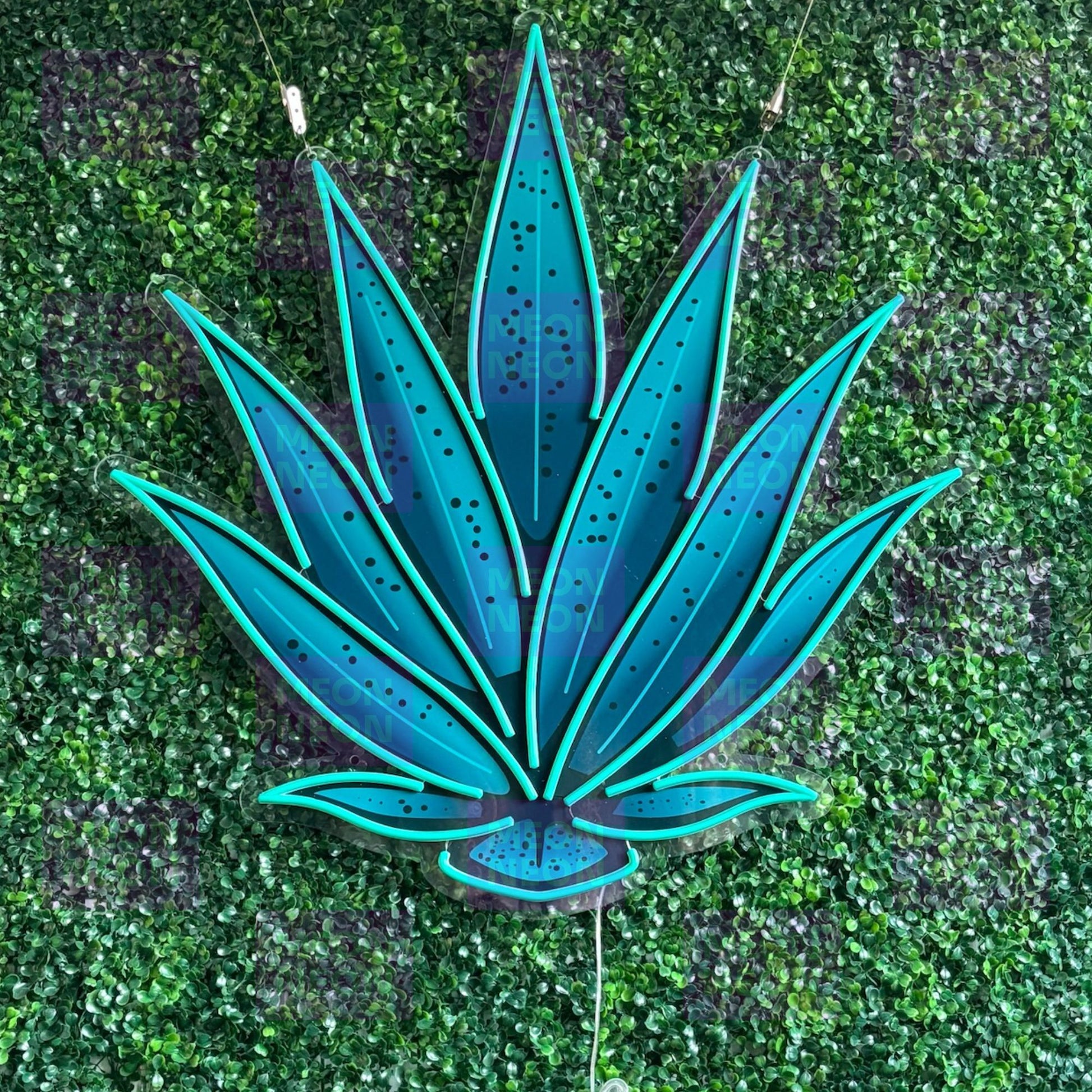 Agave Plant LED Neon Sign - MEON NEON