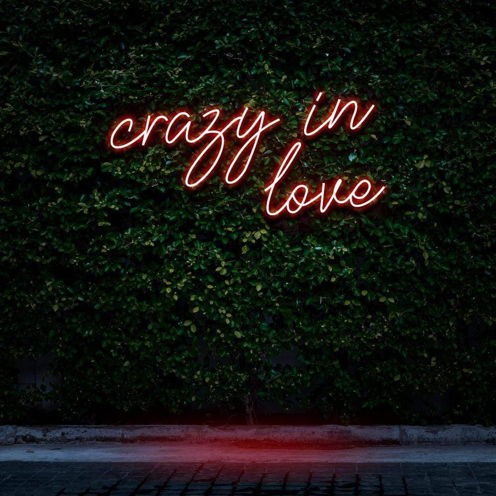 "Crazy In Love" Neon Sign image 6