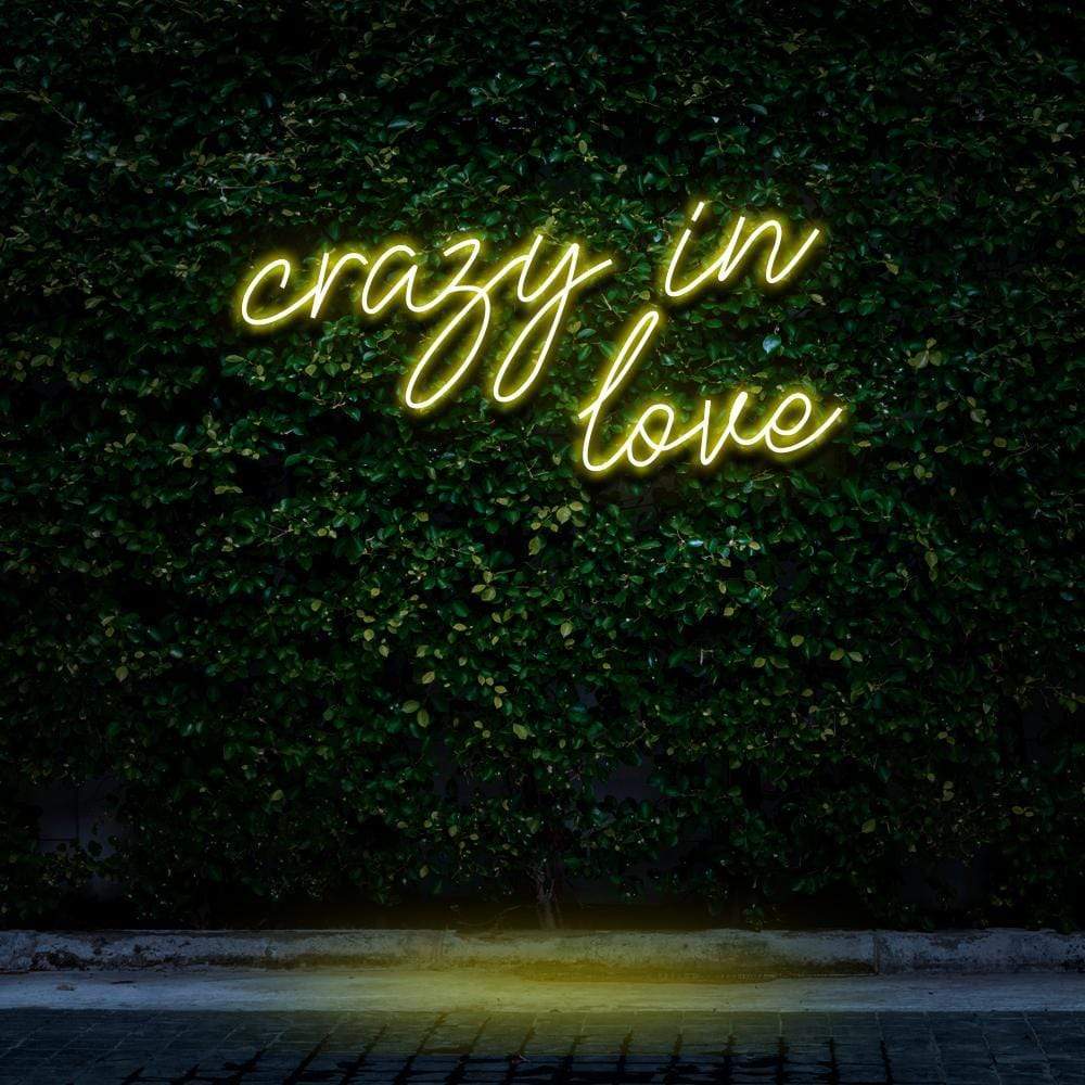 "Crazy In Love" Neon Sign image 8