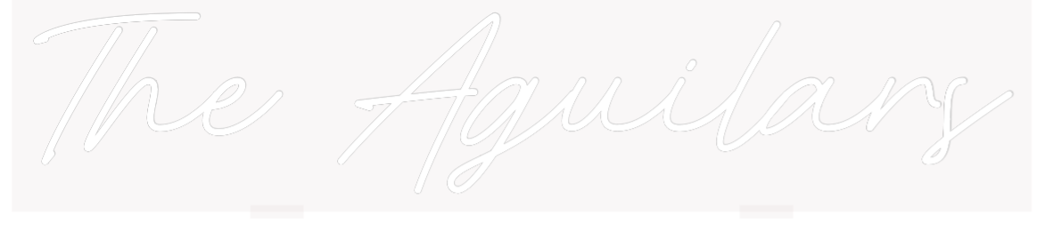 Custom Neon: The Aguilars - MEON NEON