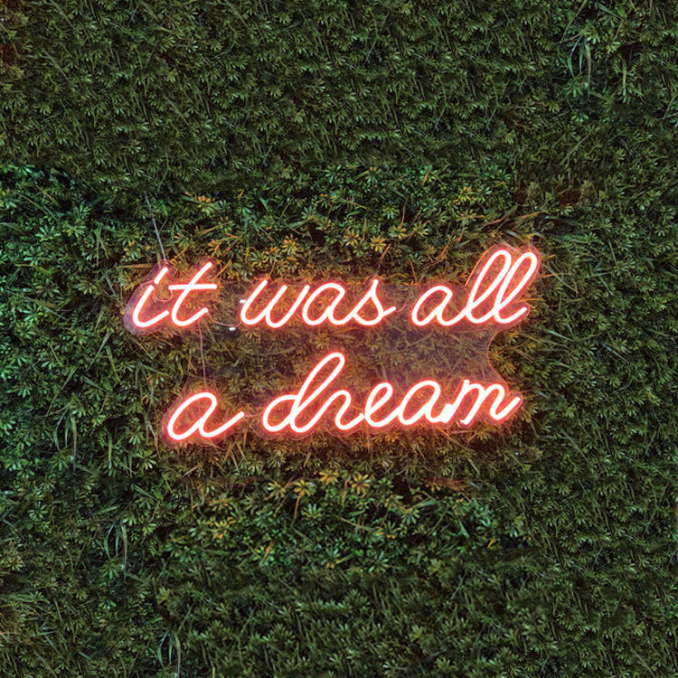 It Was All a Dream LED Neon Sign (Style 4) in Pink