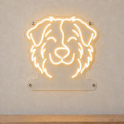 MEON NEON-watermarked concept mockup of a Warm White Australian Shepherd head LED neon sign with a blank acrylic area for a UV-printed breed caption or dog name.