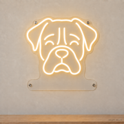 MEON NEON-watermarked concept mockup of a Warm White Boxer head LED neon sign with a blank acrylic area for a UV-printed breed caption or dog name.