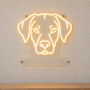 MEON NEON-watermarked concept mockup of a Warm White Rhodesian Ridgeback head LED neon sign with a blank acrylic area for a UV-printed breed caption or dog name.
